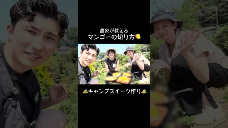 【デイキャンプ】農家が教えるマンゴーの切り方