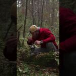 新しいククサのスタイル🌲☕️ #アウトドア #キャンプ #キャンプ道具