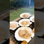 【炭火】究極のホタテバター醤油丼#キャンプ飯