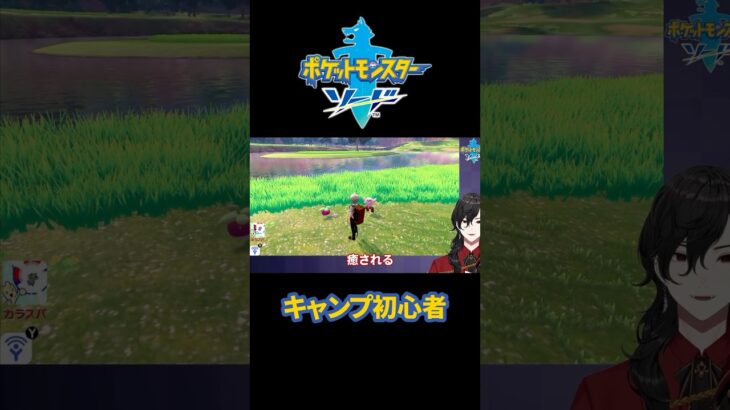 キャンプ初心者