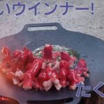 キャンプ料理、大人も子どもたちもバク釣れ!赤い彗星、(ΦωΦ)ﾌﾌﾌ…　　たこさんウインナー!