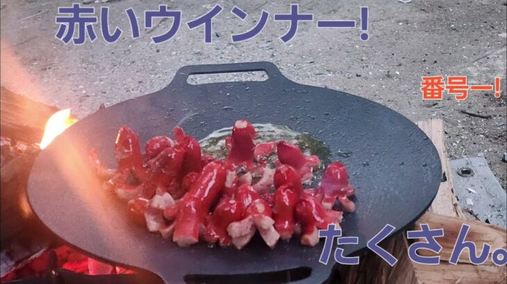 キャンプ料理、大人も子どもたちもバク釣れ!赤い彗星、(ΦωΦ)ﾌﾌﾌ…　　たこさんウインナー!