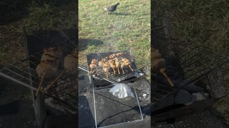 【炭火焼き】ねぎま #キャンプ飯 #焼き鳥 #鳩 #キャンプ初心者