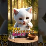 簡単焚火飯09 ミネストローネ #cat #ulキャンプ #funny #アウトドアグルメ