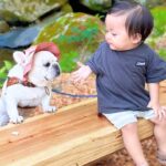 キャンプ初心者なのにベテランのような愛犬と1歳児が可愛いすぎた…