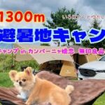 標高1300m避暑地キャンプ場【vol.1】無印良品カンパーニャ嬬恋キャンプ場✦いろはにキャンプ