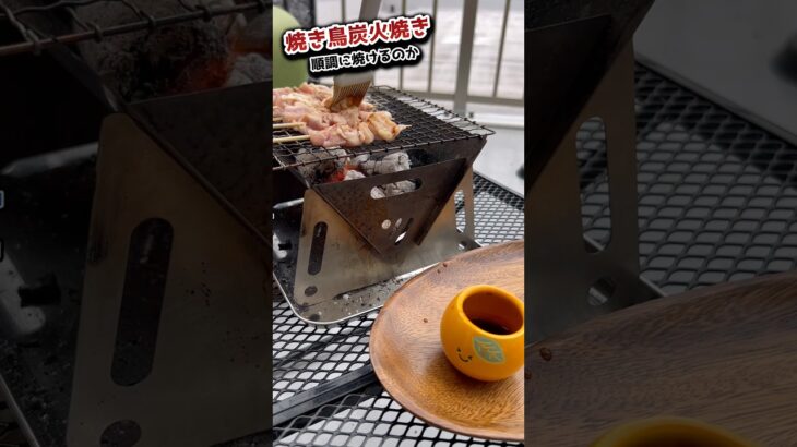 【宅飲み】4回目の挑戦は… #料理 #キャンプ飯 #ベランダ #焼き鳥 #宅飲み #家飲み #おつまみ #shorts