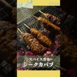【キャンプめし】スパイスが決め手！本格シークカバブ！フライパンでもBBQでも楽しめる♪　#キャンプ飯 #シークカバブ #スパイス料理