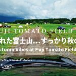 Fuji Tomato Field ソロキャンプ｜雲に隠れた富士山と秋の気配