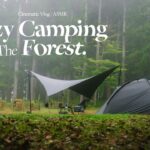 【ソロキャンプ】秋の静かな森で過ごす一人癒し時間🍁 | Mac One Tarp | The Free Spirits – STARS 3 | Cinematic vlog | ASMR