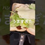 まじで簡単！激うまテリヤキバーガーを作る方法！　#camp #料理 #アウトドアグルメ #キャンプ #ホットサンド #あゆこきゃんぷ