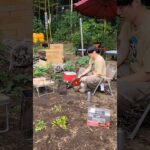 鞴という、キャンプに必須の道具がある。気密された空間の体積を変化させる事により、空気の流れを生み出す伝統的なギア。鍛冶屋・たたら製鉄等では古来から使用されている美しい技術だ。#キャンプ #camp