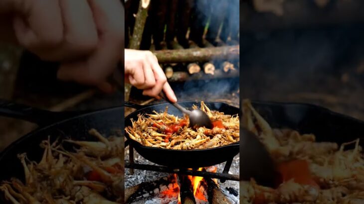 サバイバル技術：深い森で美味しい料理を作る #food #cook