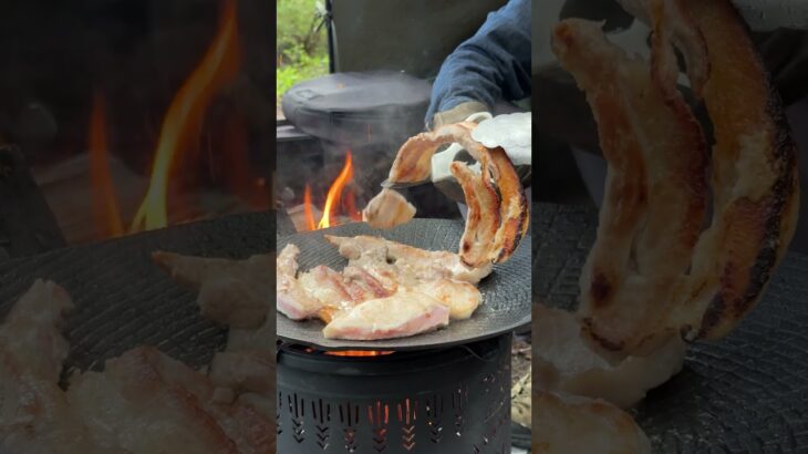 【映えるキャンプ飯】焚き火で豪快に作る“サムギョプサル”🔥🍖