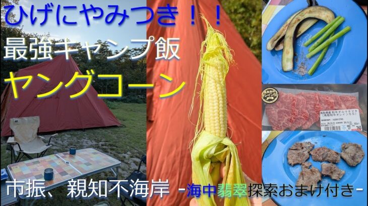 やみつきキャンプ飯-ヤングコーン編- 海中ヒスイ探索おまけ付き