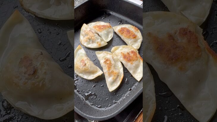 スパイス餃子！#飯テロ #キャンプ #キャンプ飯 #ビール #料理