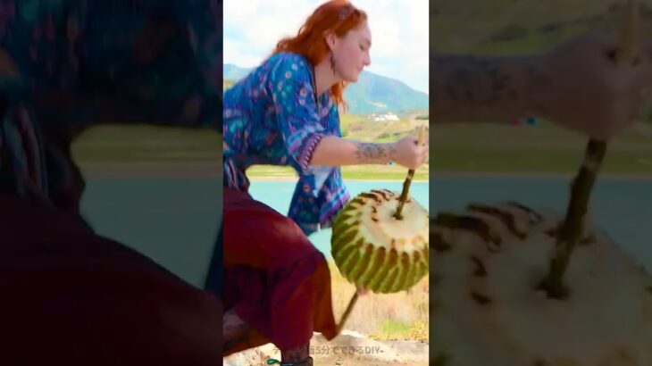 サボテン料理で楽しむウィル・アドベンチャー 🤤