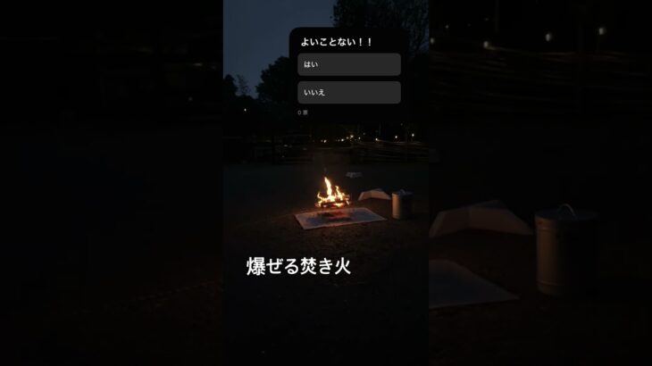 ストレス発散中。。