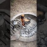 【たき火とキャンプ飯】#男料理 #ユタ州 #デジタルノマド