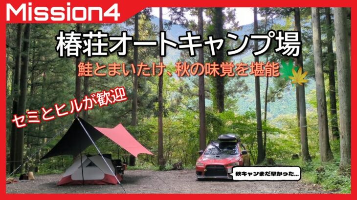 【ソロキャンプ】秋を先取りしすぎたソロキャンパーの末路