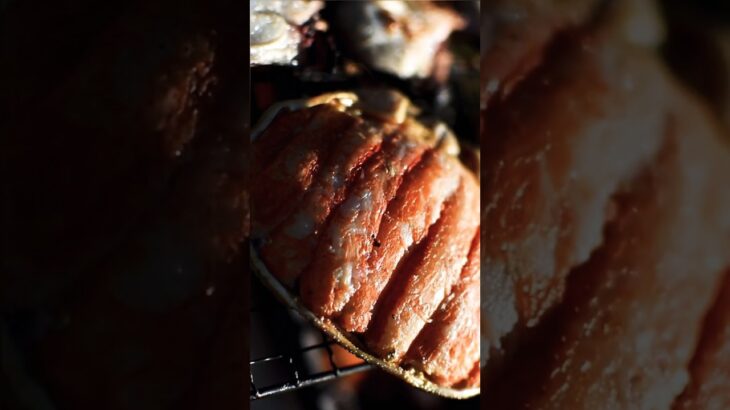 絶景キャンプ場で海の恵みの贅沢飯（月の光キャンプ場）