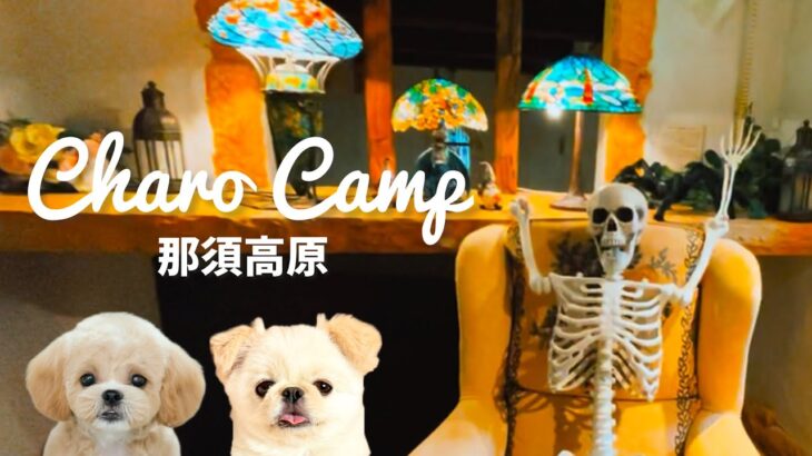 那須高原で秋キャンプ：クアトロペロス/那須ステンドグラス美術館 /ステーキハウス寿楽