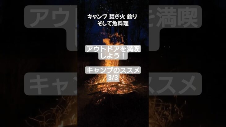【自然に包まれてガッツリ遊ぶ！アウトドア料理 ３／３】#釣り#キャンプ#焚火料理