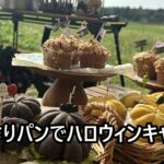 【手作りパンでハロウィンキャンプ】手作り黄色と黒のかぼちゃパンでキャンプご飯♪初心者キャンプ♪ハロウィンパーティーにも♡
