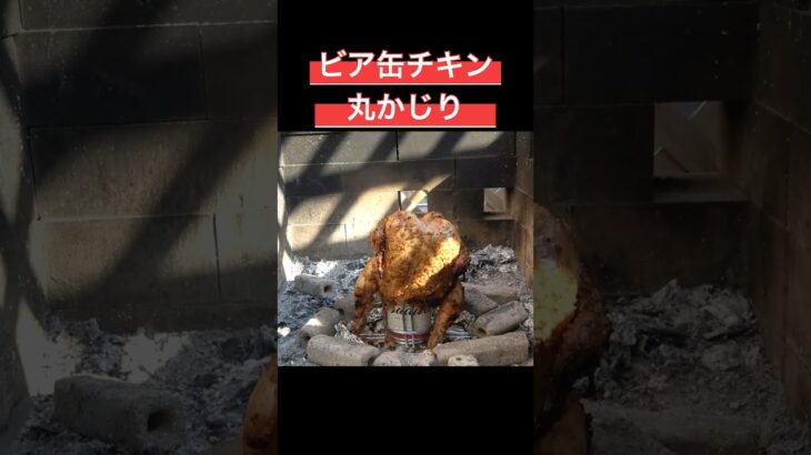 やっぱ丸鶏は丸ごといくに限るよね #料理 #アウトドアグルメ #キャンプ飯 #スパイス #ビア缶チキン