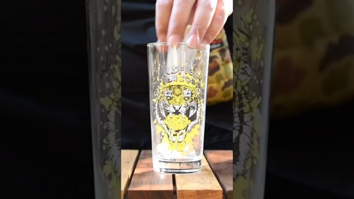 キャンプで作ろう🍂松ぼっくりケーキ（月川荘キャンプ場）