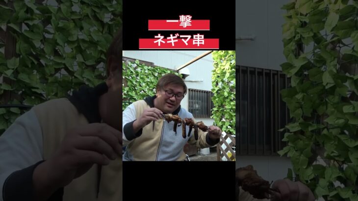 結局焚き火で焼けば美味い #料理 #アウトドアグルメ #キャンプ飯 #焼き鳥 #炭火焼き鳥