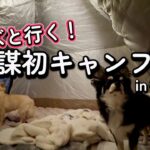 【初心者】初キャンプに無謀にも犬連れで犬🐶【初心者】