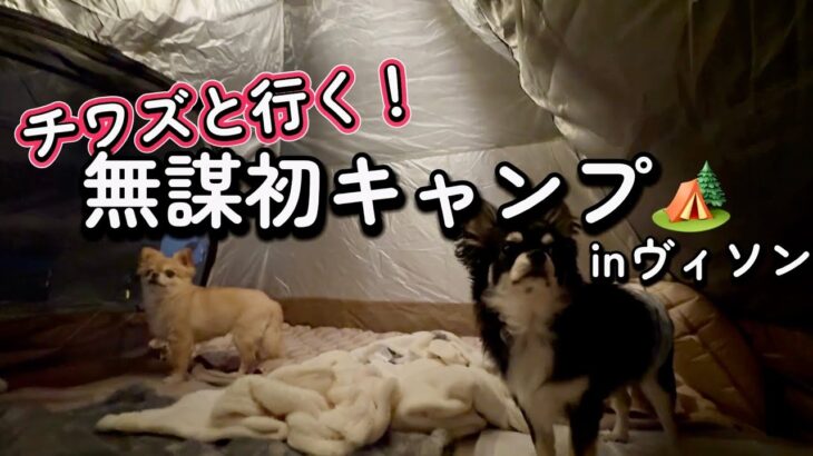【初心者】初キャンプに無謀にも犬連れで犬🐶【初心者】