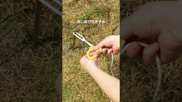 実は簡単！自在結びを解説します！#waq #キャンプ