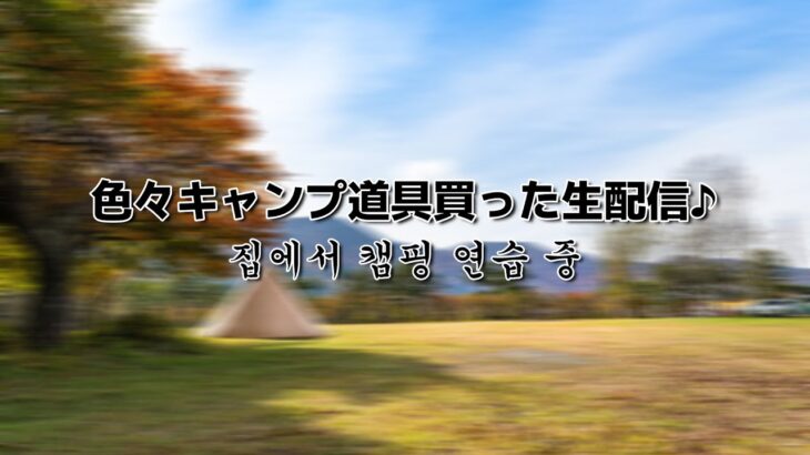 【生配信】色々キャンプ道具買った 집에서 캠핑 연습 중 ⛺️ クロスカブ110