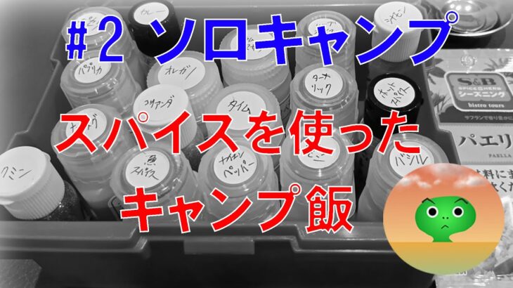＃2 ソロキャンプで、スパイス料理を作ってみました。