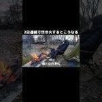 【大量の灰】2日間連続で焚き火するとこうなる