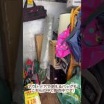 【 キャンプコーナー紹介！】4トントラックの荷台内で販売してます！