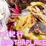 【野外料理祭4】ひとりキャンプ紀行#42「萌ゆる椛と秋ご飯を満喫する」【Cevio車載】【ANOTHAPLACE】