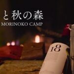 【ソロキャンプ】ポーランド軍幕と秋の森/無骨キャンプ/野営キャンプ/4K動画