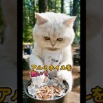 簡単焚火飯50　スモーク料理　#cat #ulキャンプ #funny #アウトドアグルメ