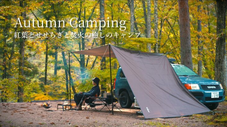 【キャンプASMR】~紅葉と焚き火と時々雨~ピザとポトフで友人と癒しの秋キャンプ【BGM・トークなし】【焚き火料理】【キャンプ飯】【4K】【高音質】【Carm】【Cozy】【Chill】【ASMR】