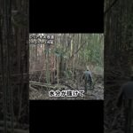 放置竹林を素人がDIYで激変させたら　#キャンプ #diy初心者