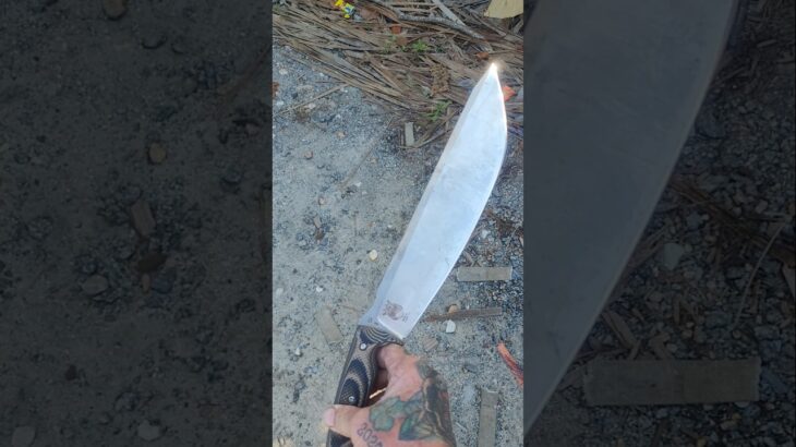 Nomad Camp 12 #worktuffgear #bushcraft #edc #shorts