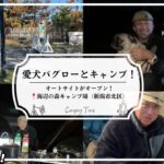 愛犬パグローとキャンプ！ヤンさんと仲良くなれるかな？オートサイトがオープン！海辺の森キャンプ場（新潟市北区）！ジビエ料理！おじさんだらけのキャンプ会Part2