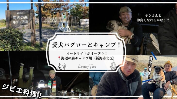 愛犬パグローとキャンプ！ヤンさんと仲良くなれるかな？オートサイトがオープン！海辺の森キャンプ場（新潟市北区）！ジビエ料理！おじさんだらけのキャンプ会Part2