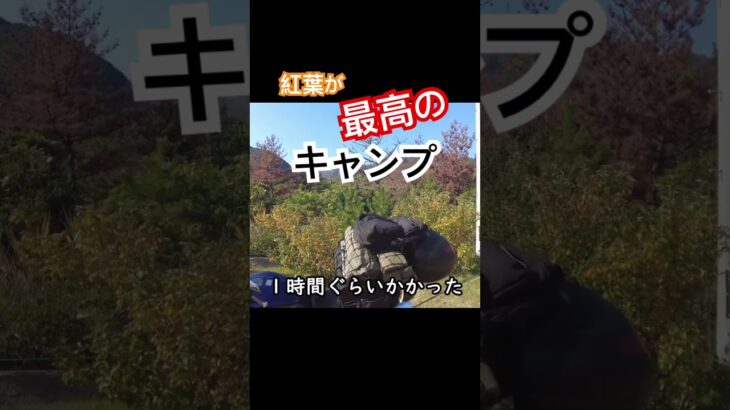 #automobile #料理 #キャンプ #アウトドア #キャンプ飯 #小豆島 #肉 #岡山 #バイク #飯テロ #痛風ライダー