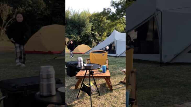 最高の秋キャンプ #camp  #shorts