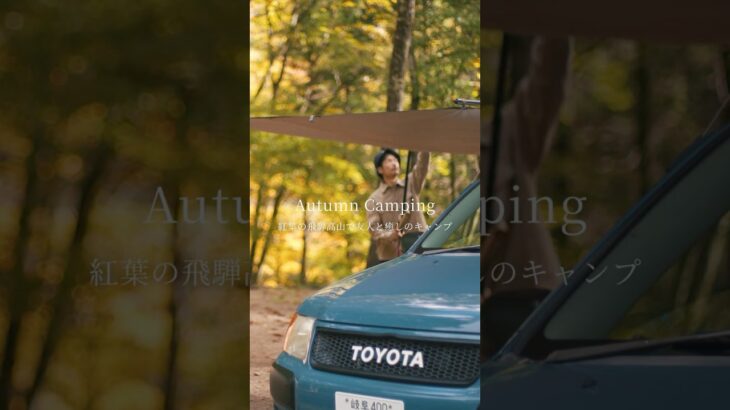 紅葉とせせらぎの癒しのキャンプ #紅葉 #秋 #飛騨高山 #せせらぎ街道 #焚火料理 #キャンプ飯 #campfirecooking #carm #cozy #chill #asmr #4k #高画質