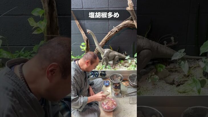 炭火焼き 焼き鳥 編【今日から専業主夫】 #料理 #アウトドアグルメ #cooking #60歳代 #food #簡単レシピ #グルメ好き #焼き鳥 #キャンプ飯